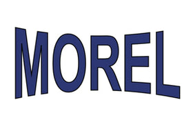 Morel Lifters