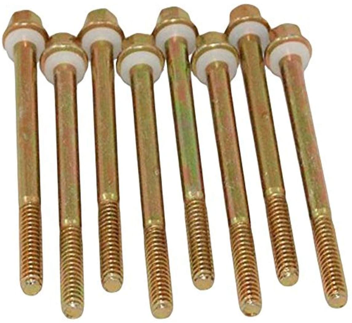 AED Performance 5200 Holley Fuel Bowl Screws, Set of 8