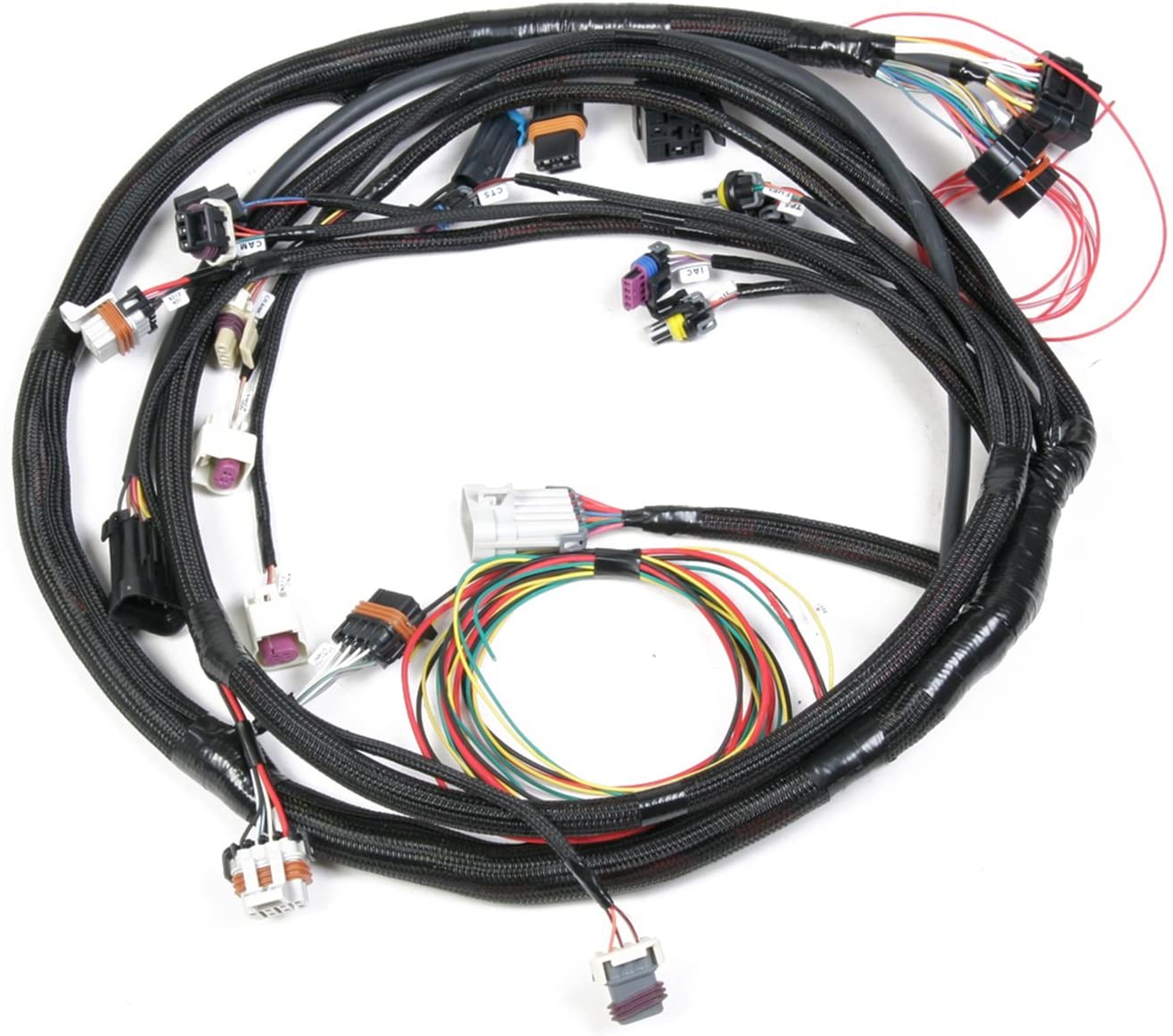 Holley EFI 558-103 LS2/3/7+ (58X/4X) Engine Main Harness