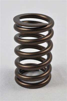 PAC Springs PAC-1210X-16 Valve Springs Specialty and Class Specific